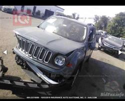 جیپ رێنێگەید